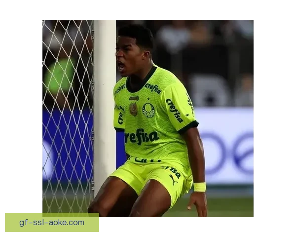 博塔弗戈凭借强势表现以3-1战胜班古夺得重要胜利