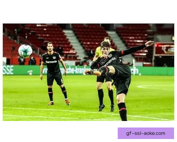 卡拉巴赫六球横扫纳希切万强势领跑联赛攻防全面爆发震撼全场今夜