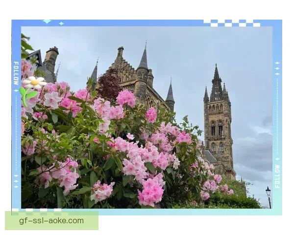 纽克85-115贝尔格莱德城市旅游与文化探索之旅