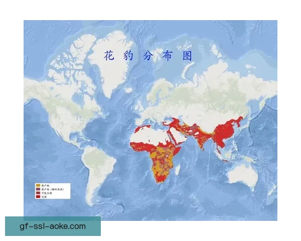 乍得零比四完败布隆迪比赛全场表现及关键分析