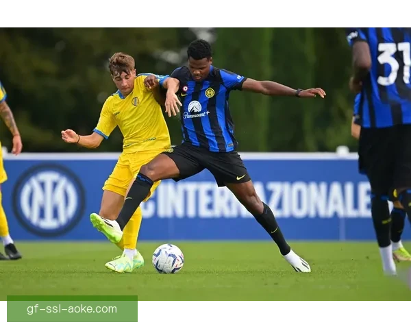 佩尔格莱特塞凭借关键进球以2-1逆袭柏迪亚成功晋级