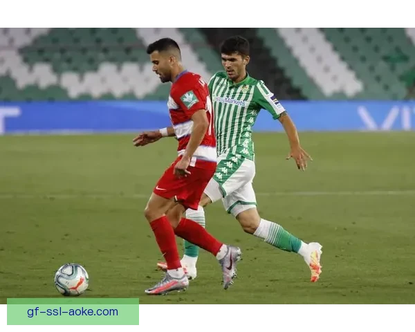 中海地与冰岛激战成平局 双方1-1握手言和